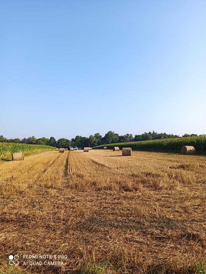 Dom Z Ogrodem Villa Laka  Kültér fotó